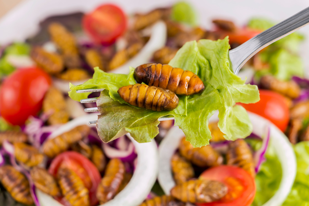 Participante do BBB acha larva na comida. Faz mal ingerir?