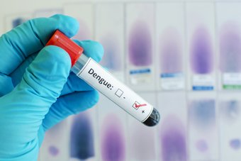 Dengue clássica e dengue hemorrágica: qual é a diferença?