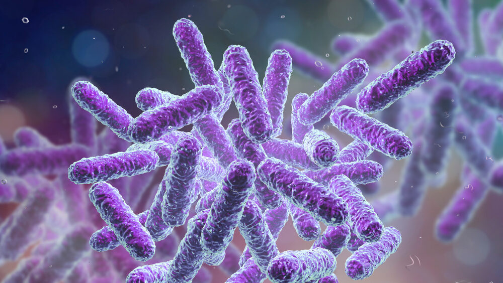 diagnóstico da salmonella