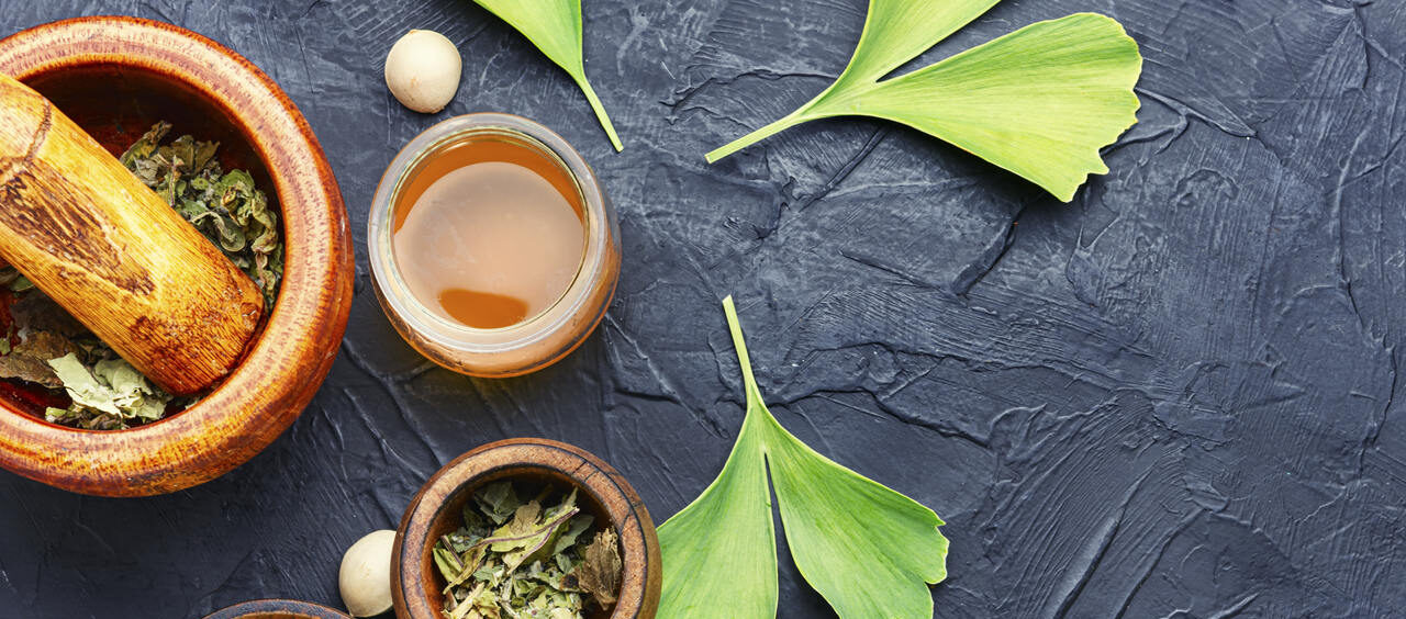 ginkgo biloba