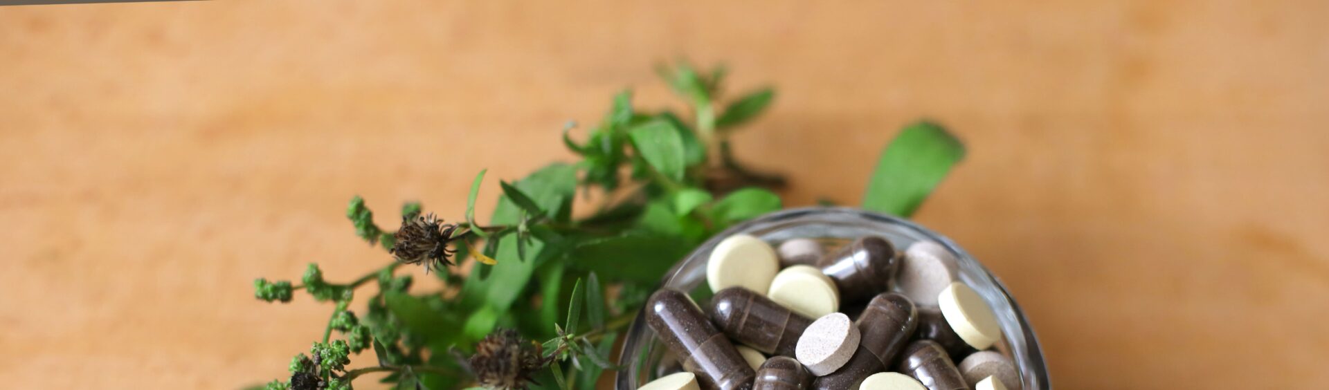 Maca peruana e Tribulus terrestris