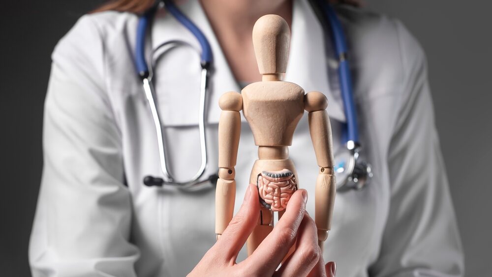 microbiota do intestino
