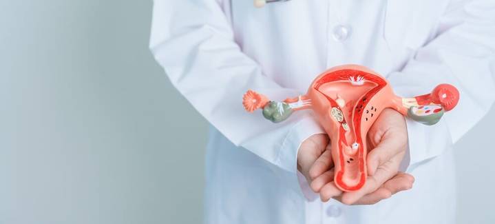 Remoção das trompas pode prevenir câncer de ovário, diz estudo