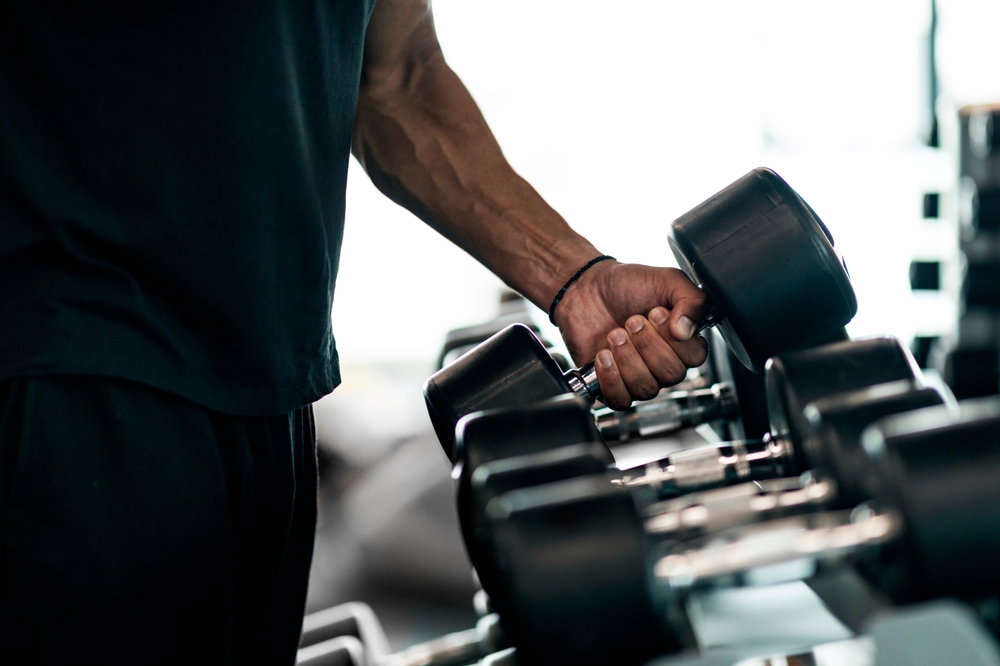 Treinar bíceps todo dia ajuda na definição mais rápida? Entenda - Vitat