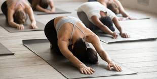 Yoga para a lombar: posturas que fortalecem e aliviam a região