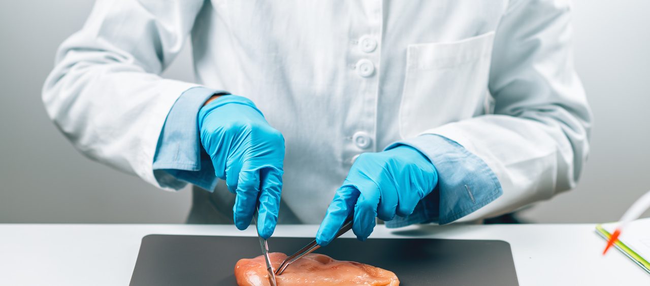 braços de um cientista de luvas e jaleco cortando um pedaço de peito de frango cru no laboratório