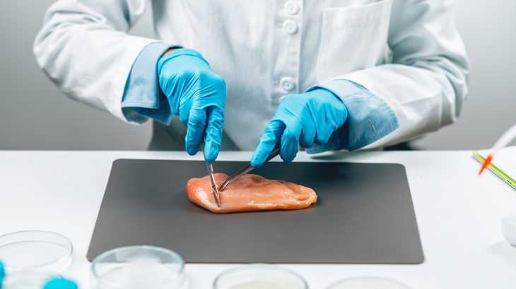 braços de um cientista de luvas e jaleco cortando um pedaço de peito de frango cru no laboratório