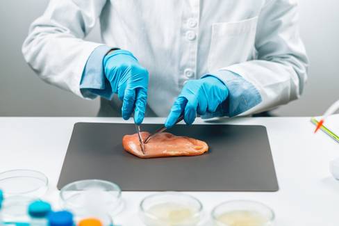 EUA aprovam venda de carne de frango feita em laboratório