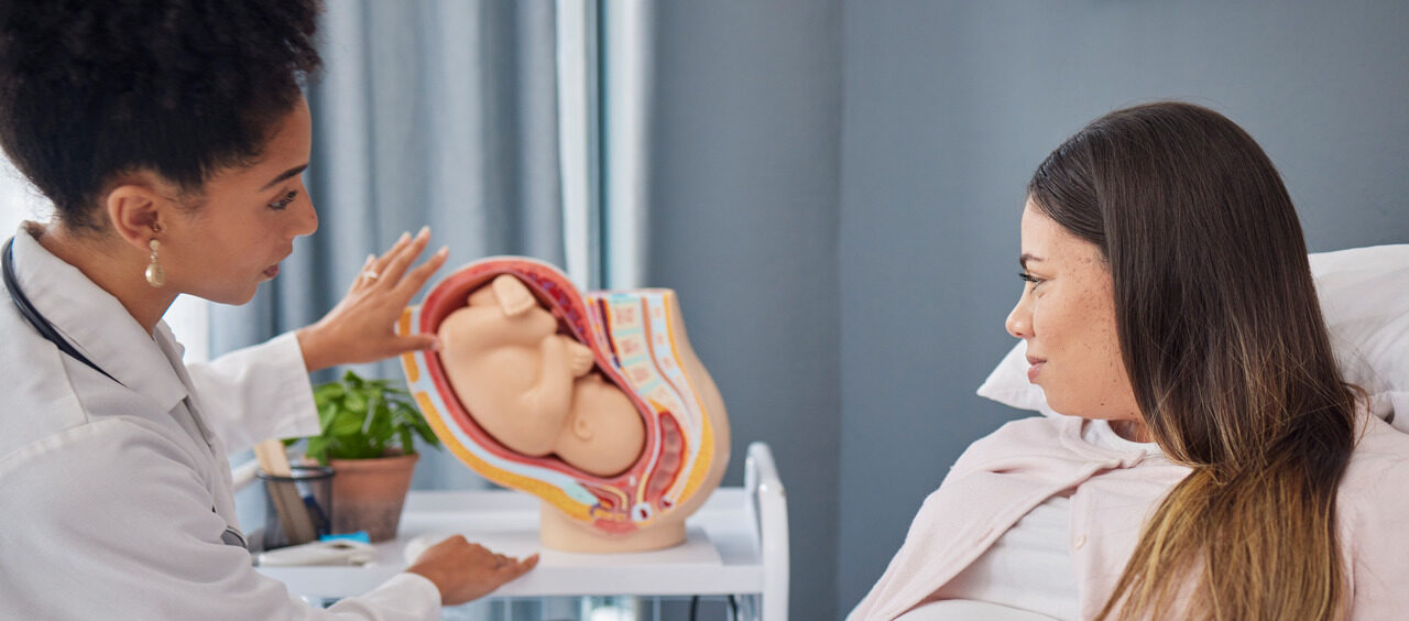 mulher grávida e médica conversam. Elas estão olhando para um protótipo de útero com feto ao fundo