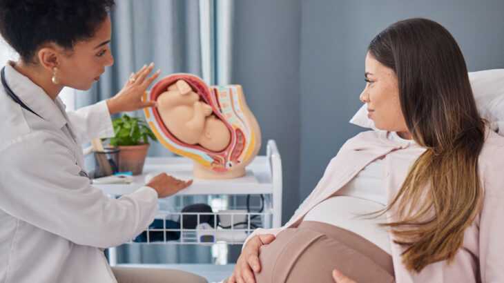 mulher grávida e médica conversam. Elas estão olhando para um protótipo de útero com feto ao fundo