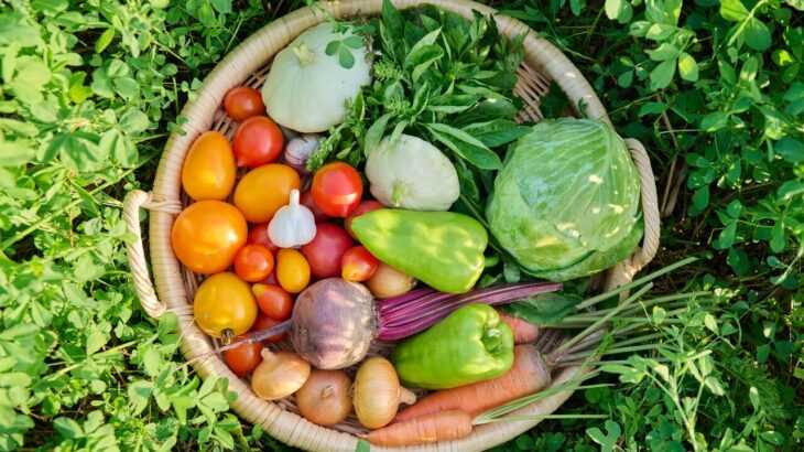 cesta de vime em cima do mato com vegetais, frutas e legumes