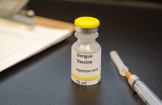 Nova vacina contra dengue começará a ser aplicada no país