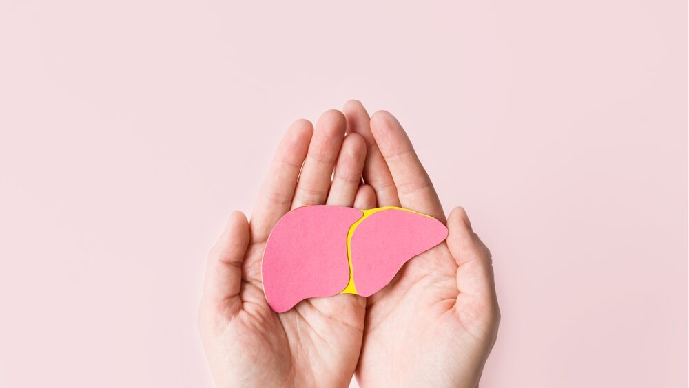 mãos segurando um molde de fígado de papelão