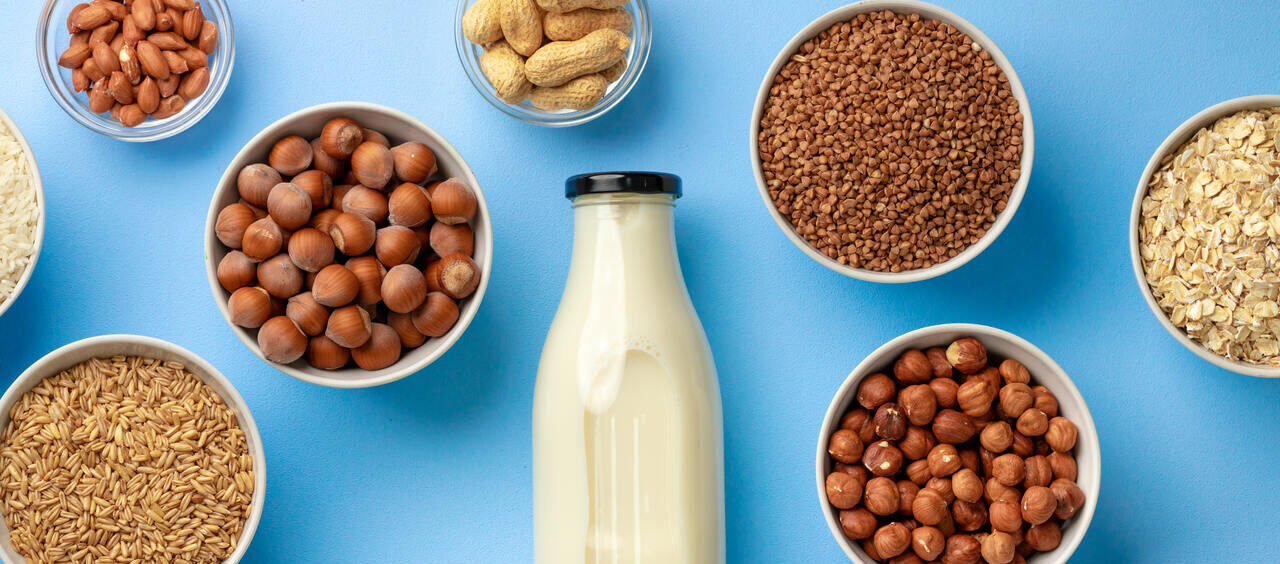 foto de uma garrafa de leite ao lado de diferentes castanhas e cereais