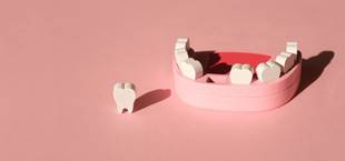 Medicamento para crescer dentes novos será testado em humanos