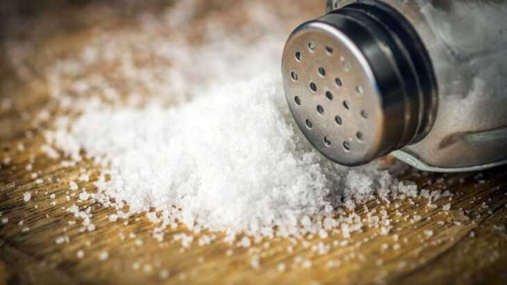 imagem de um saleiro de lado com um monte de sal