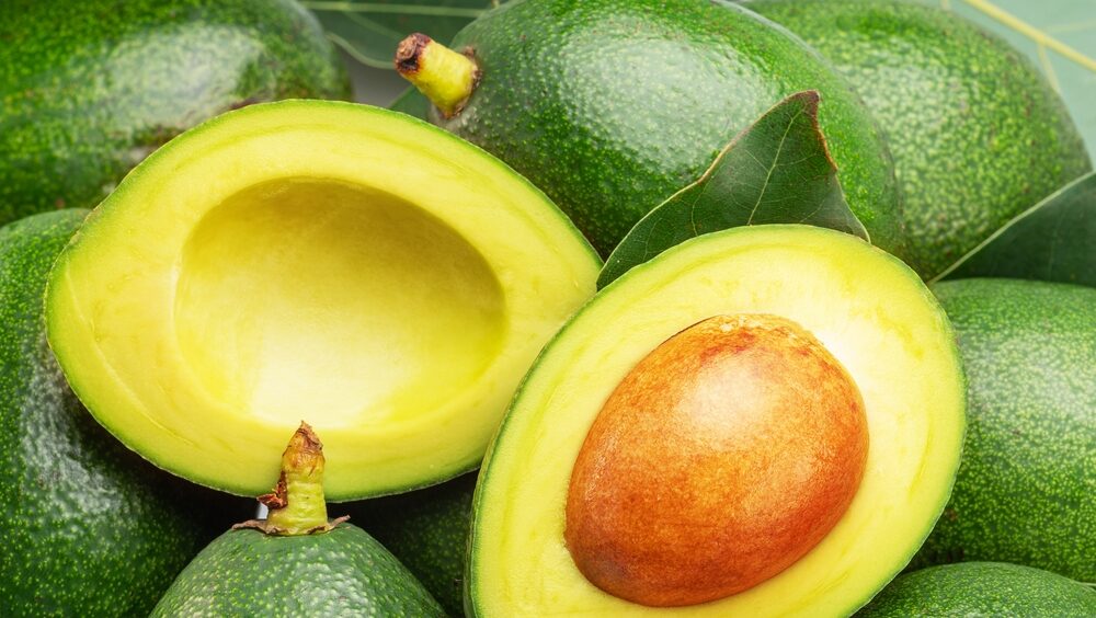 chá de caroço de abacate