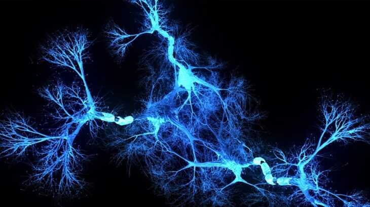 representação em 3D de sinapses entre neurônios