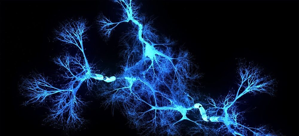 representação em 3D de sinapses entre neurônios