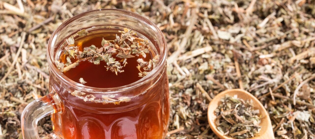 Nefrologista esclarece se chá de quebra-pedra é indicado para tratamento de cálculo renal