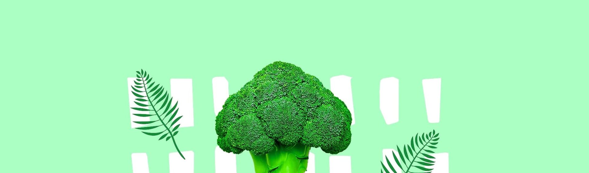 estilo de vida fitness