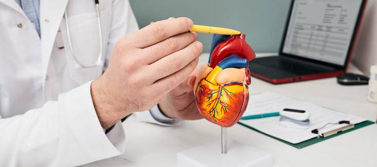 Dissecção da aorta: o que é, sintomas, riscos à saúde e mais