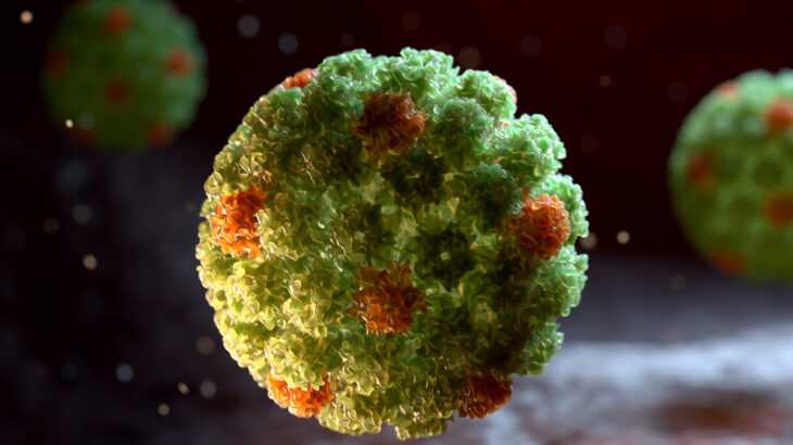 imagem de um papilomavírus humano, o HPV