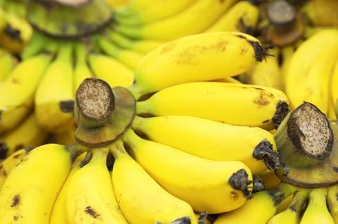 Existe um melhor tipo de banana para emagrecer? E para hipertrofia?