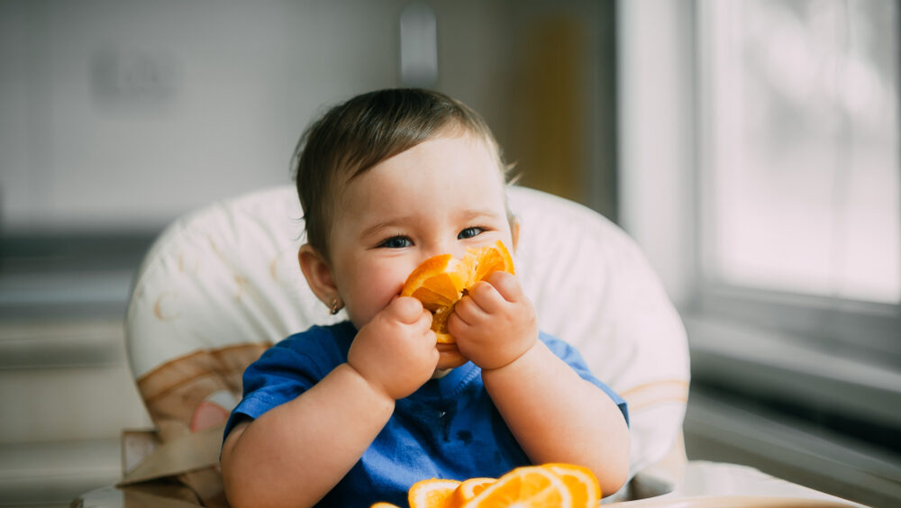 novas orientações para a introdução alimentar