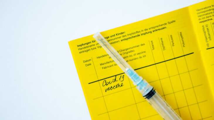 foto de uma caderneta de vacinação com uma seringa