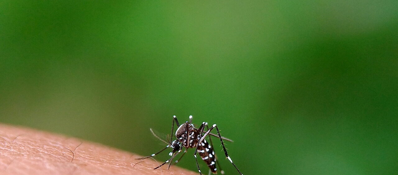 Complicações da dengue