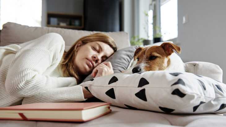 mulher dormindo no sofá com o cachorro
