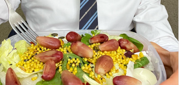 salada de pinhão do tralli