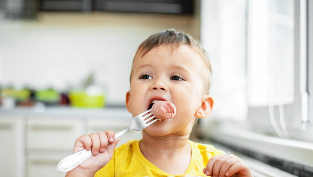 bebê pode comer carne de porco