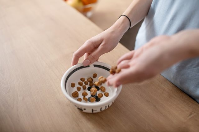 Ração animal para bater a meta de proteínas? Riscos da ‘tendência’