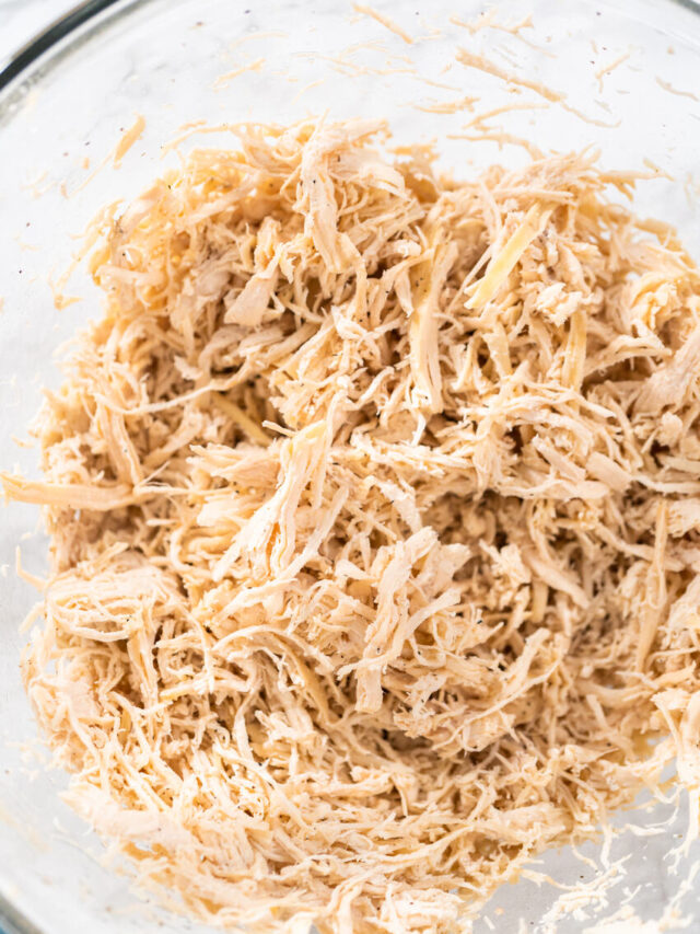 O que fazer com frango desfiado: receitas fit individuais que salvam o seu jantar