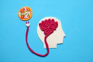 A importância da nutrição para a saúde do cérebro