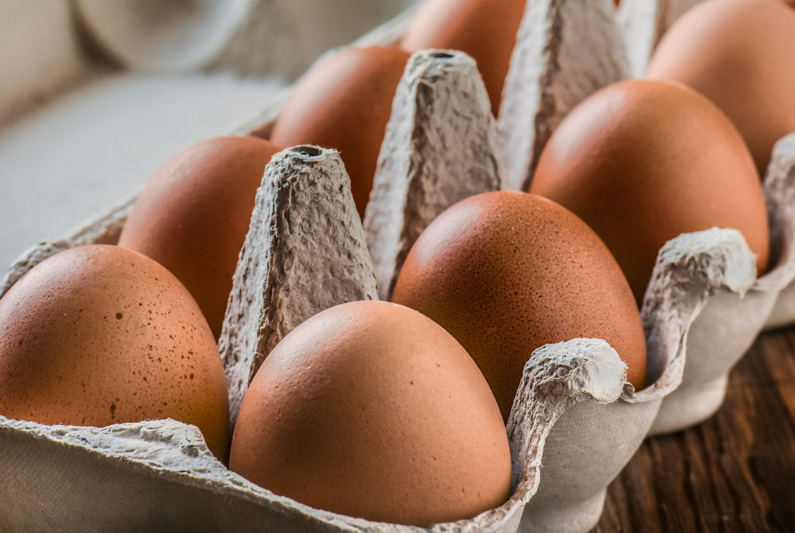Proteínas: por que e como incluir na alimentação